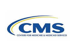 CKSS CMMC DFARS Compliance Consultants client CMMS